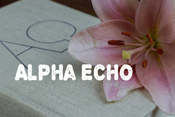 Alpha Echo: A Shredded Display Font That Makes Handmade Labels Pop