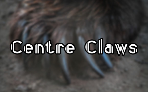 Centre Claws: A Distinctive Display Font for Digital Design