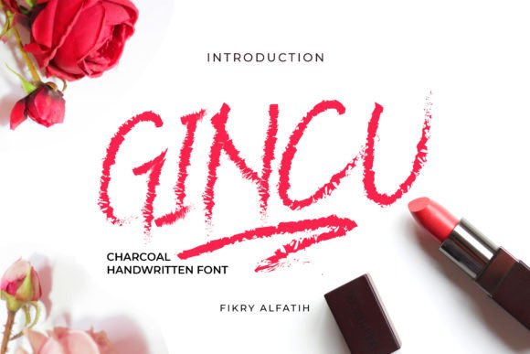 Gincu: A Designer’s Real-World Font Review