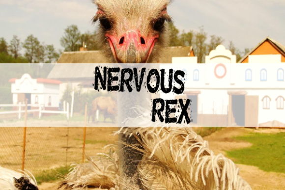 Nervous Rex: A Playful Display Font for Editorial Impact