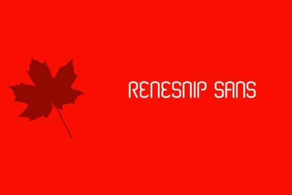 Renesnip: A Display Font That Makes Your Brand Feel Intentional